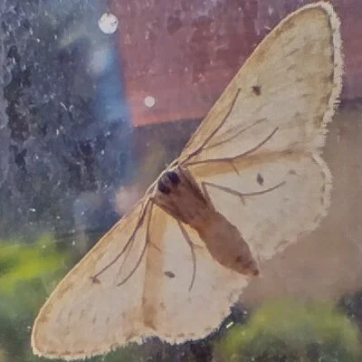 Julian ♪🌻🥥🌴♫